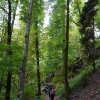 09 b Schluchensteig Etappe 4 - 6